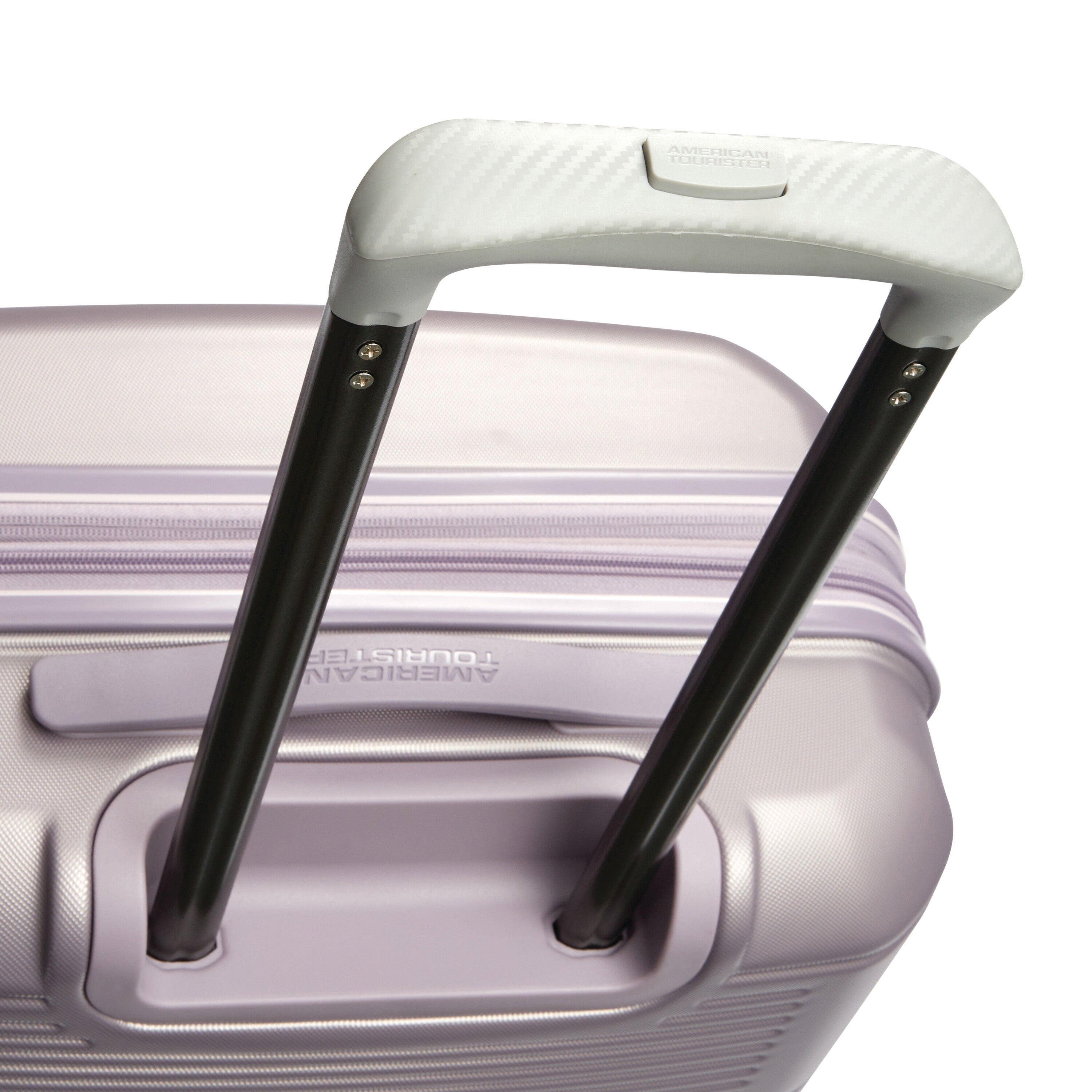 American top tourister stratum