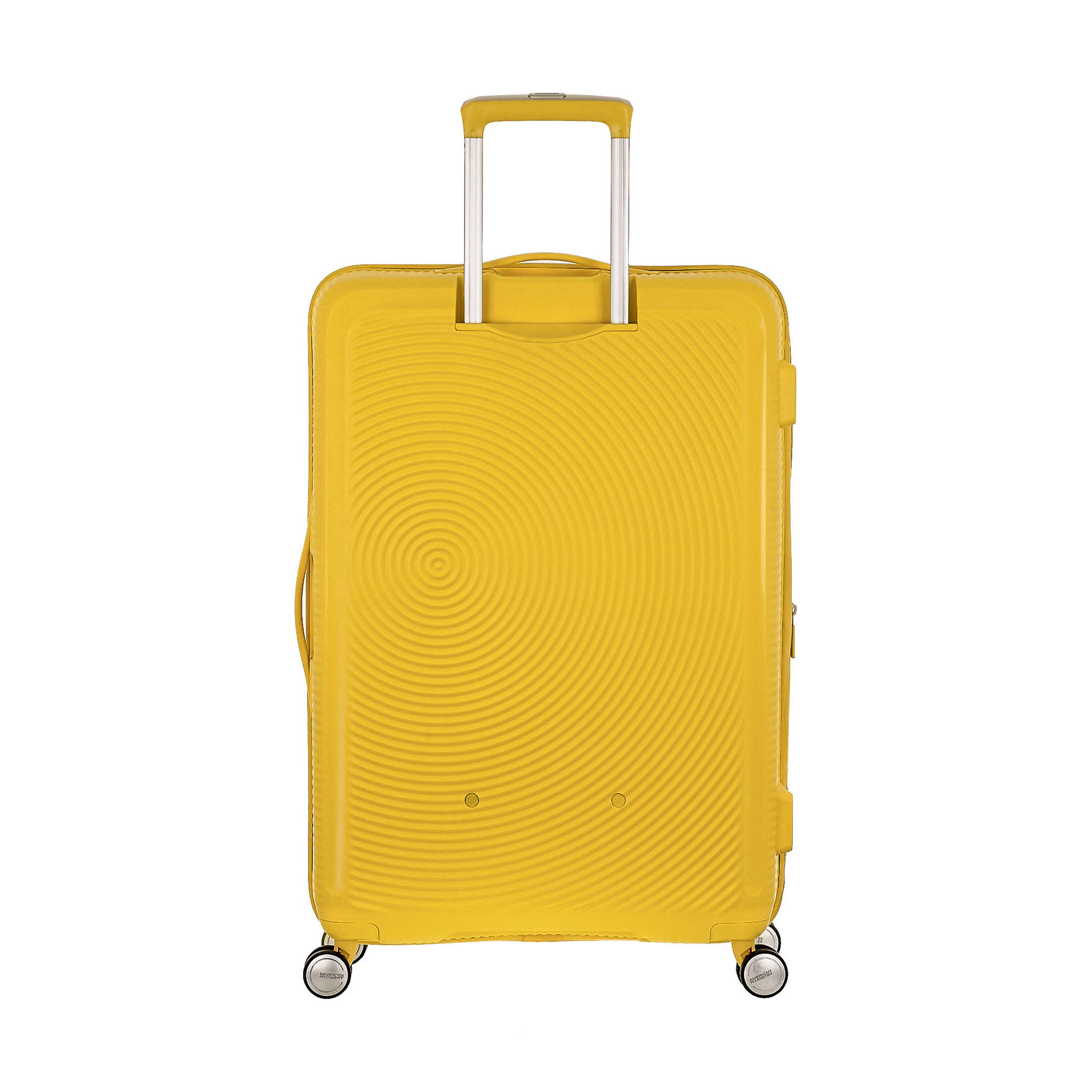 American tourister curio sale new arrivals