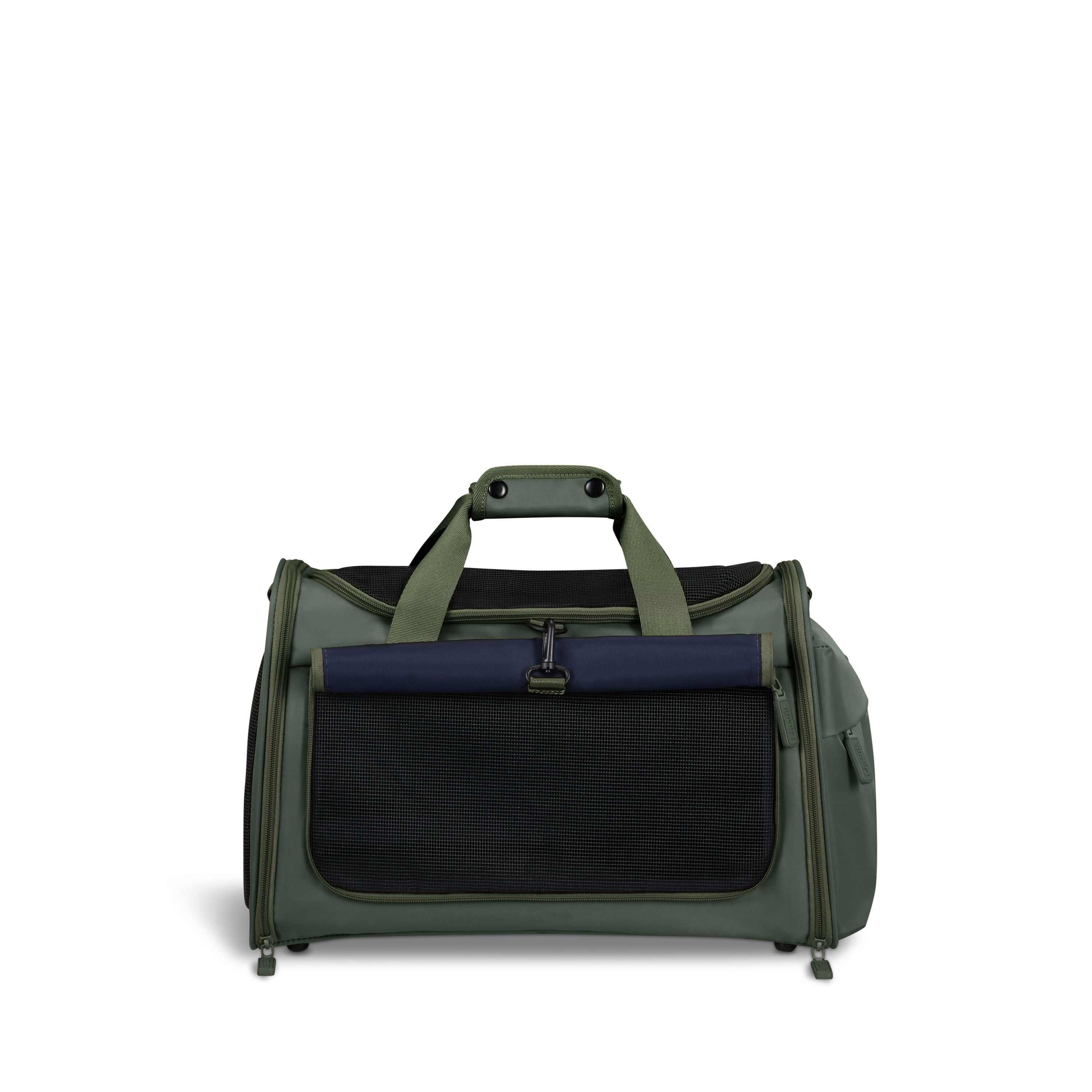 American tourister pet carrier hotsell
