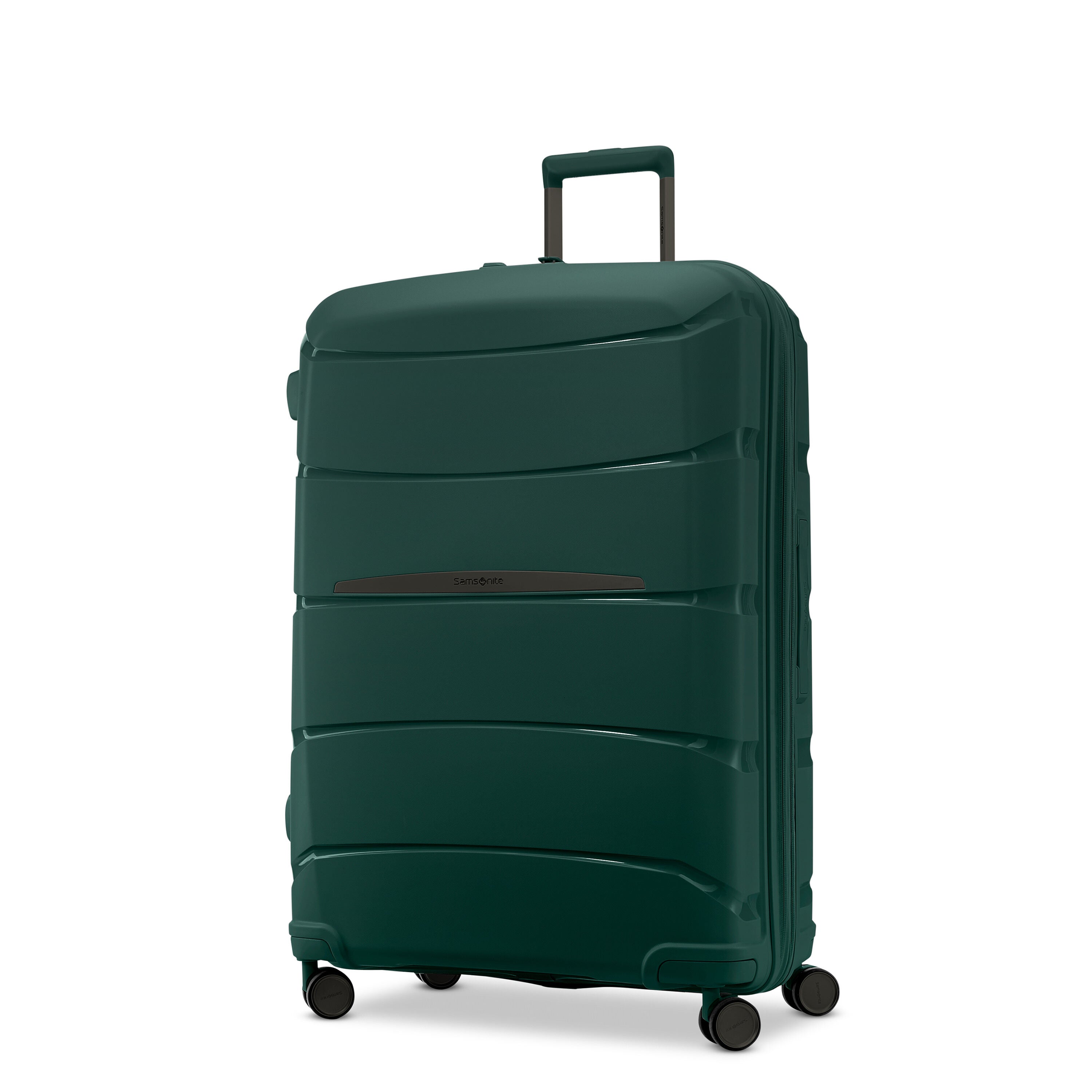 Adolfo luggage reviews new arrivals