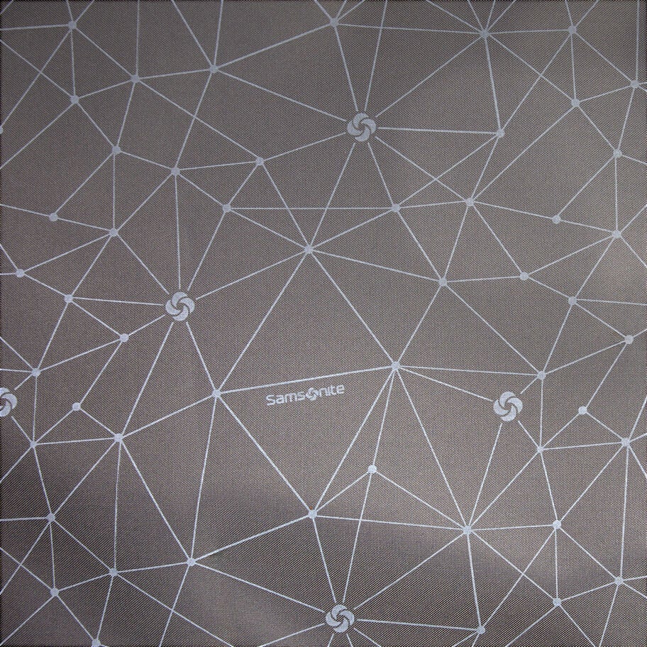 Samsonite Sac du week-end in the color Gris Calcaire. image number 7