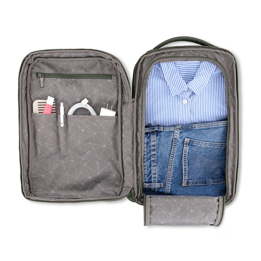 Samsonite Companion Bags Travel Backpack in the color Olive. image number 1