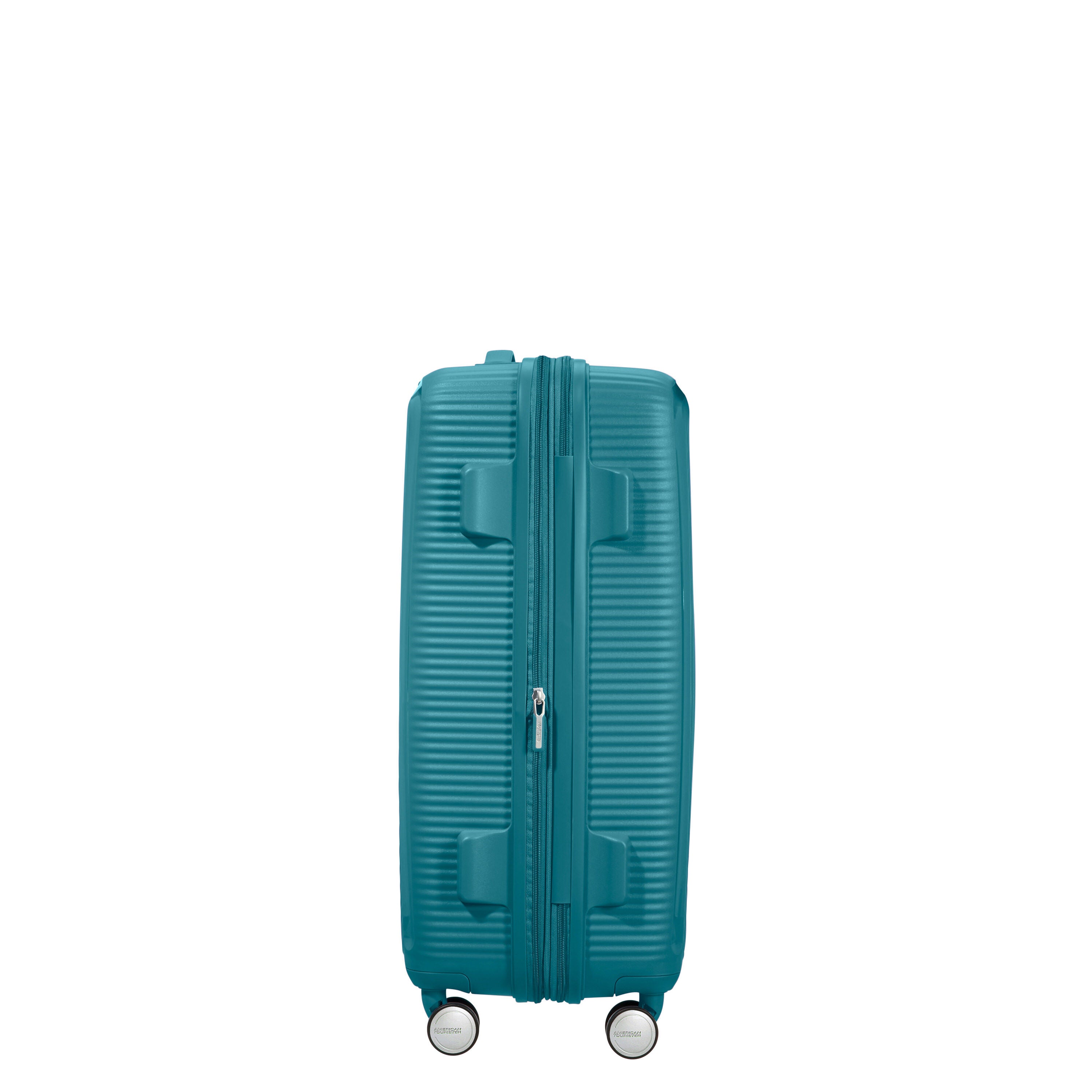 American tourister curio colours discount
